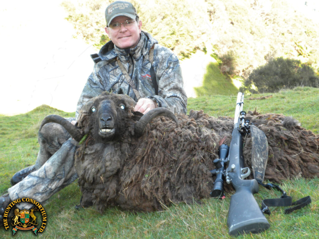 Photo of our client with his Arapawa Sheep hunting in New Zealand trophy.