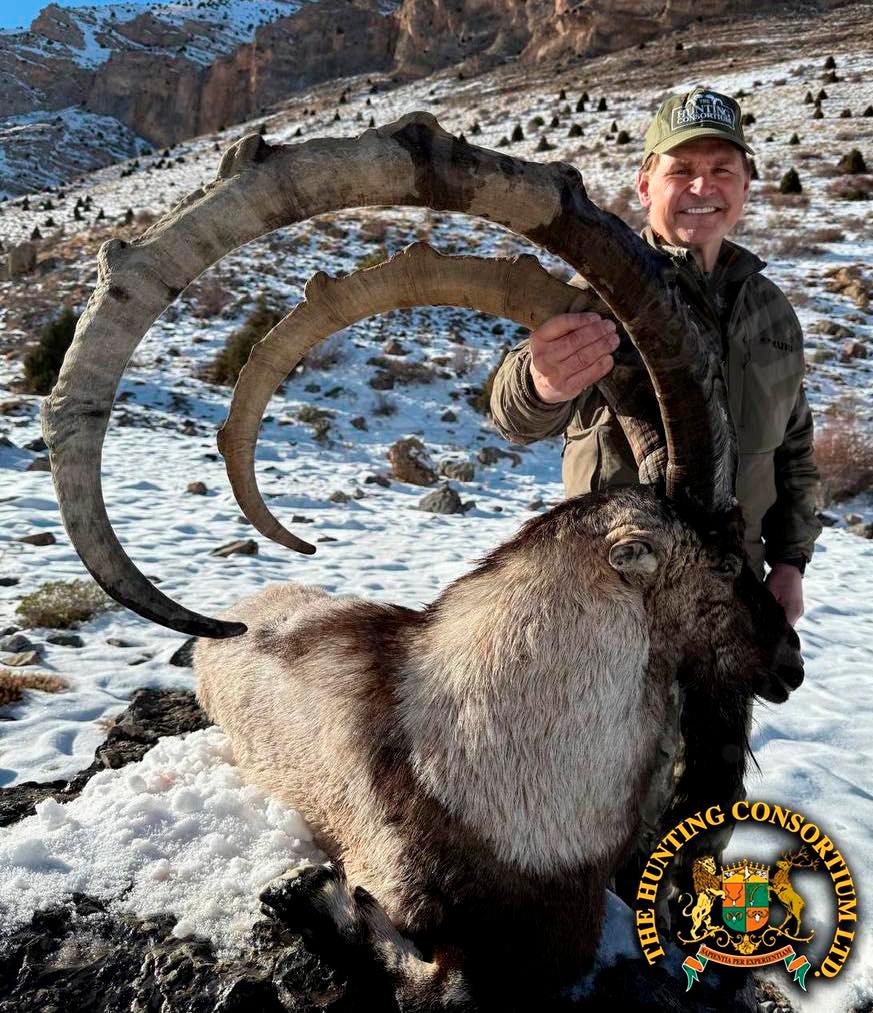 53 inch Bezoar Ibex, Biggest of 2024-2025 Turkish Season taken by Gordon Wollman and Hunting Consortium