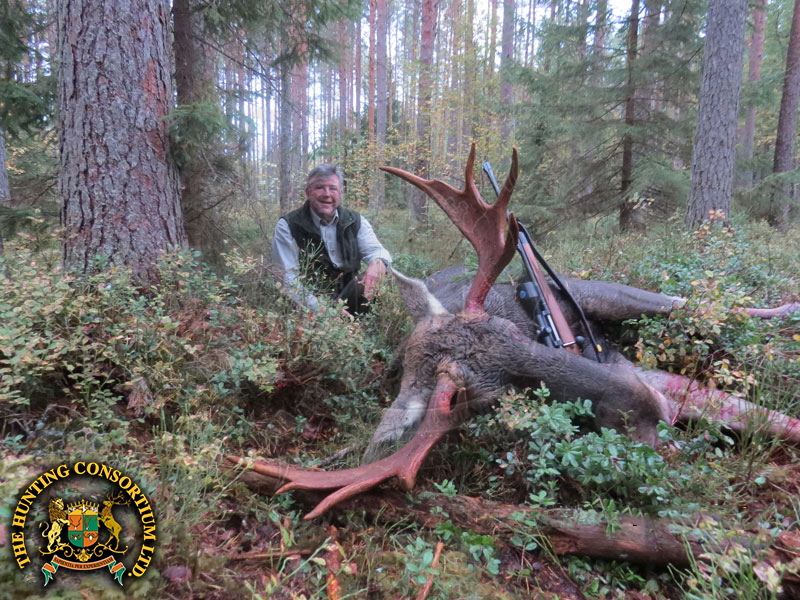 Moose Hunting in Estonia Hunts Moose Hunts in Estonia Hunt