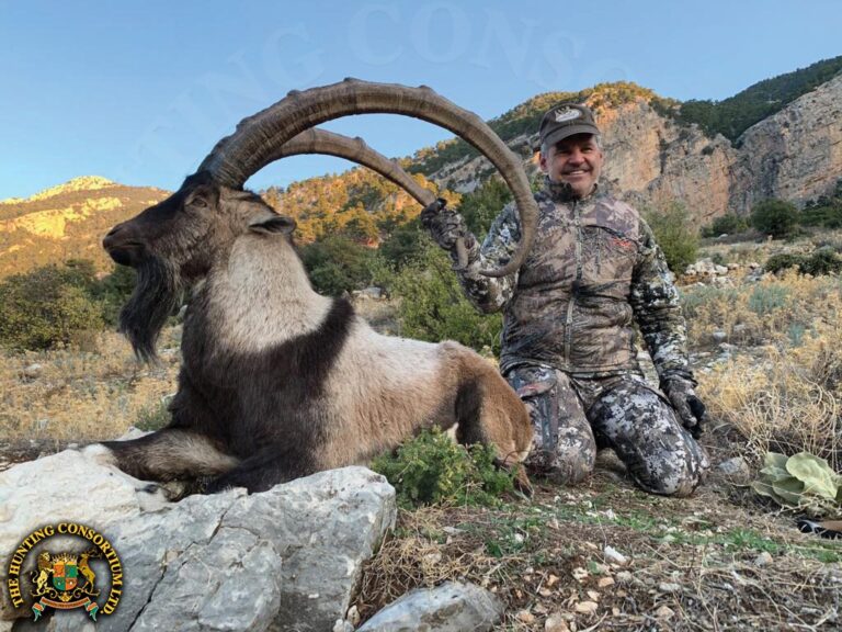50 inch Bezoar Ibex Hunting in Turkey, taken by Gordon Wollman. Bezoar Ibex Hunting in Turkey. Ibex hunts in turkey. Booked with the best wild hunting outfitters in Turkey and Asia.