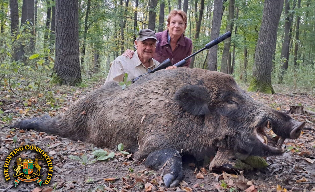 Hunting Wild Boar Hunting in Europe