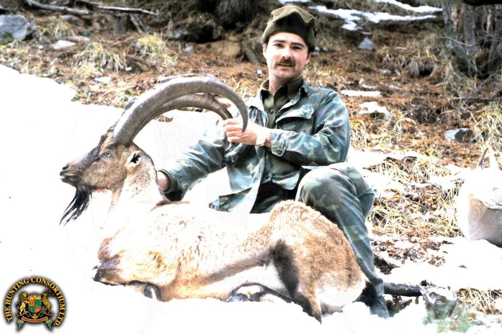 Bob Kern, President of Hunting Consortium with is Bezoar Ibex hunting in Turkey in the early 1980s. Bezoar ibex hunts.