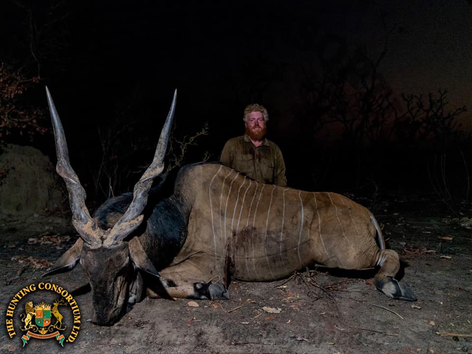 Ed Hudson, with Wild Strongholds and his Central African Eland Hunting (Lord Derby Eland Hunting) trophy from Cameroon. Hunting in Cameroon.