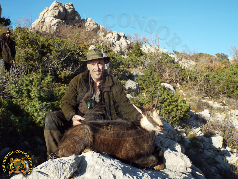 Balkan Chamois Hunting in Croatia.