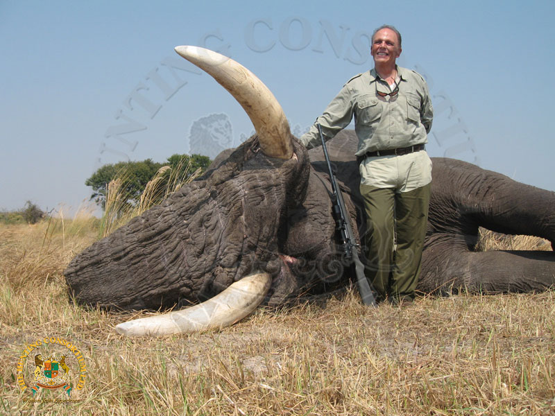 Hunting in Botswana. Hunting Elephant in Botswana.
