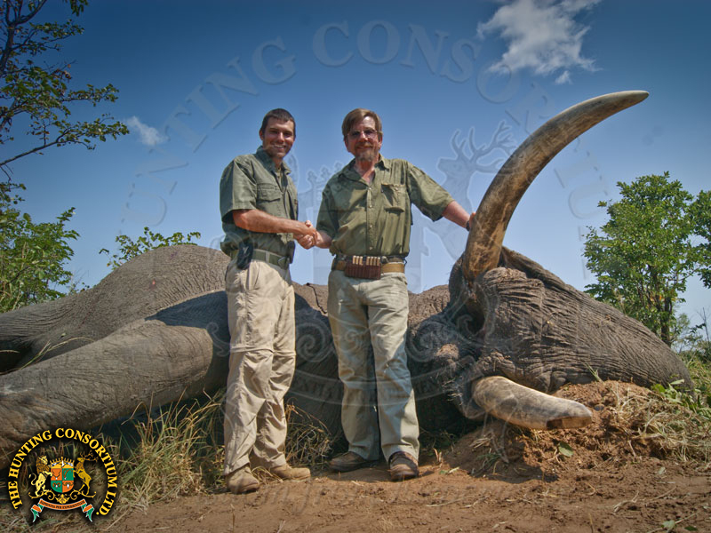 Hunting in Botswana. Hunting Elephant in Botswana.