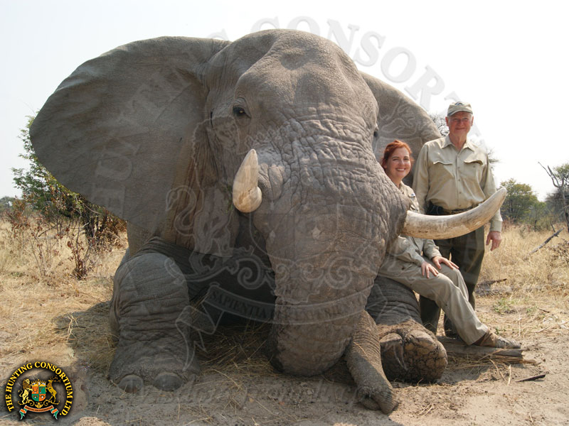 Hunting in Botswana. Hunting Elephant in Botswana and South Africa