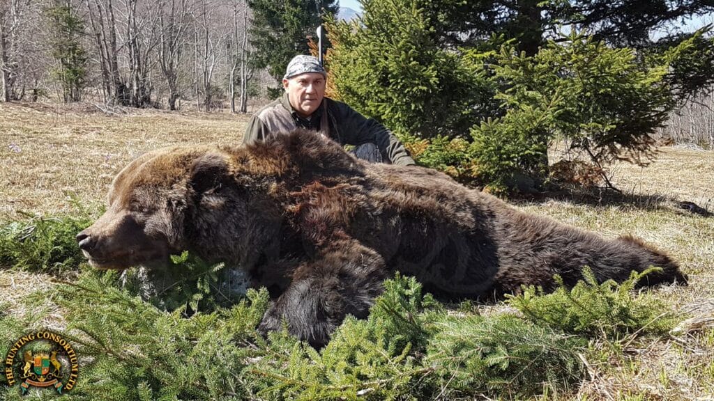 Photo of our client with a European Brown Bear Hunting trophy from Croatia. European Brown Bear Hunts.
