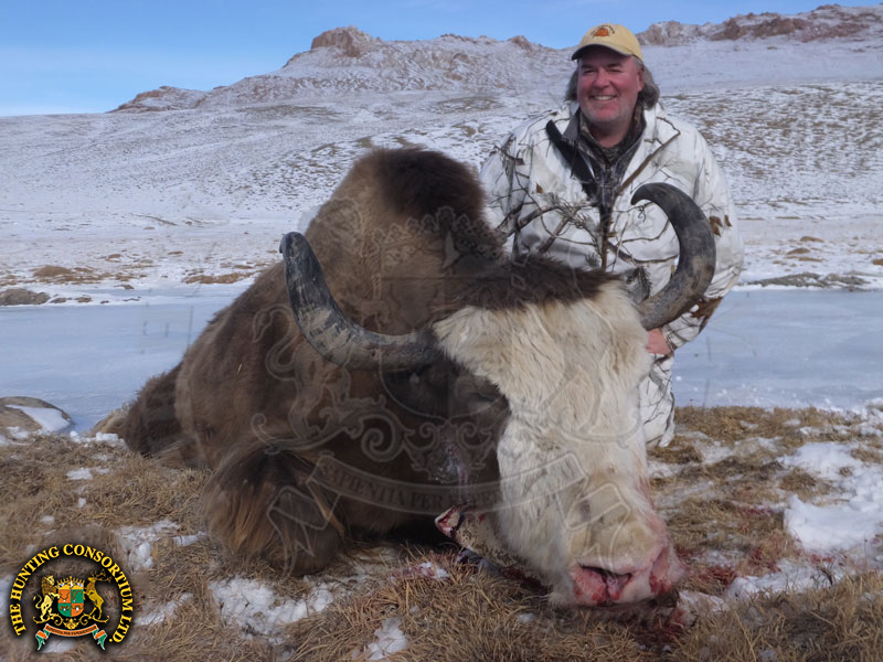 Feral Yak Hunting in Tajikistan Yak Hunts Yak Hunting In Tajikistan