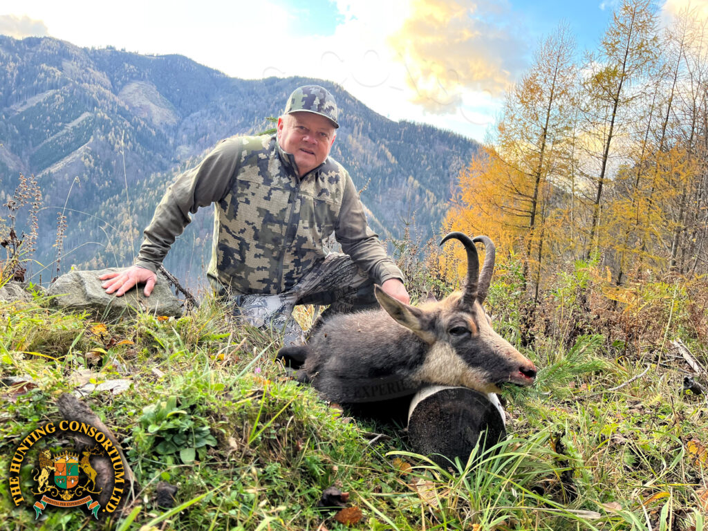 Alpine Chamois Hunting in Austria. Alpine Chamois Hunts in Austria.