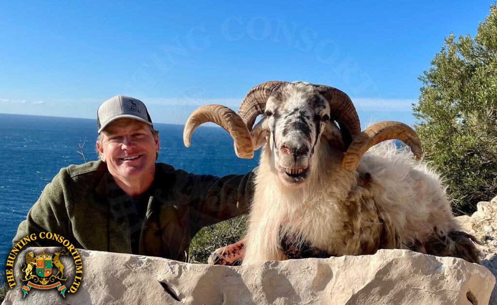Bryan Harlan Hunting Dalmatian Wild Sheep in Croatia. Dalmatian Ovan Hunting in Croatia.