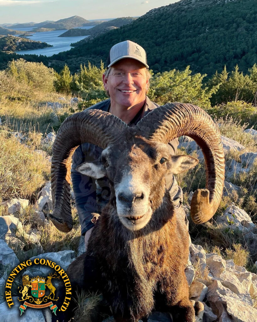 European Mouflon Hunting in Croatia Mouflon Hunting Bryan Harlan Hunting Mouflon Hunts European Mouflon Hunts