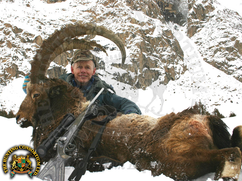 Himalayan Ibex Hunting in Pakistan Hunting Ibex in Pakistan