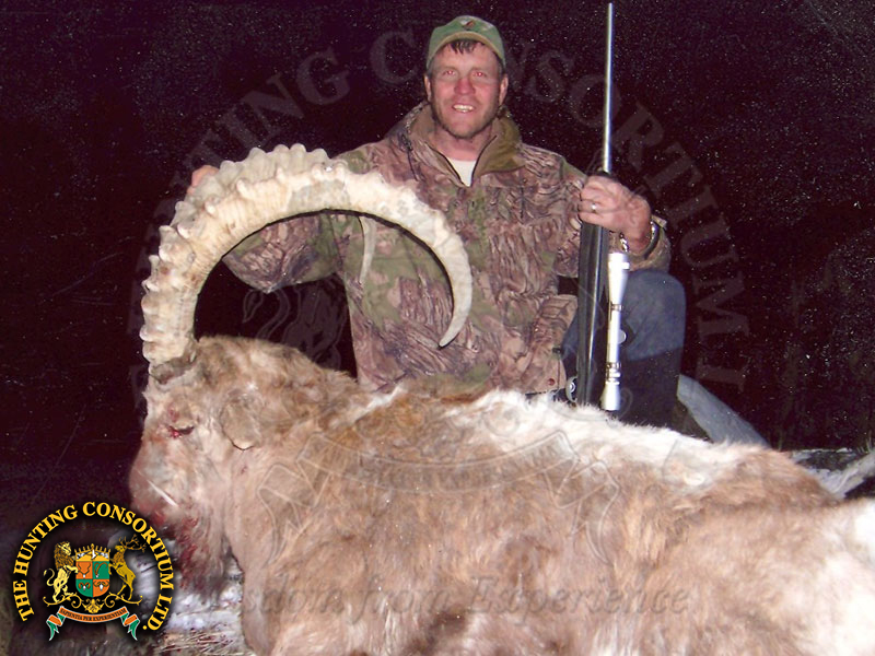Himalayan Ibex Hunting in Pakistan Hunting Ibex in Pakistan