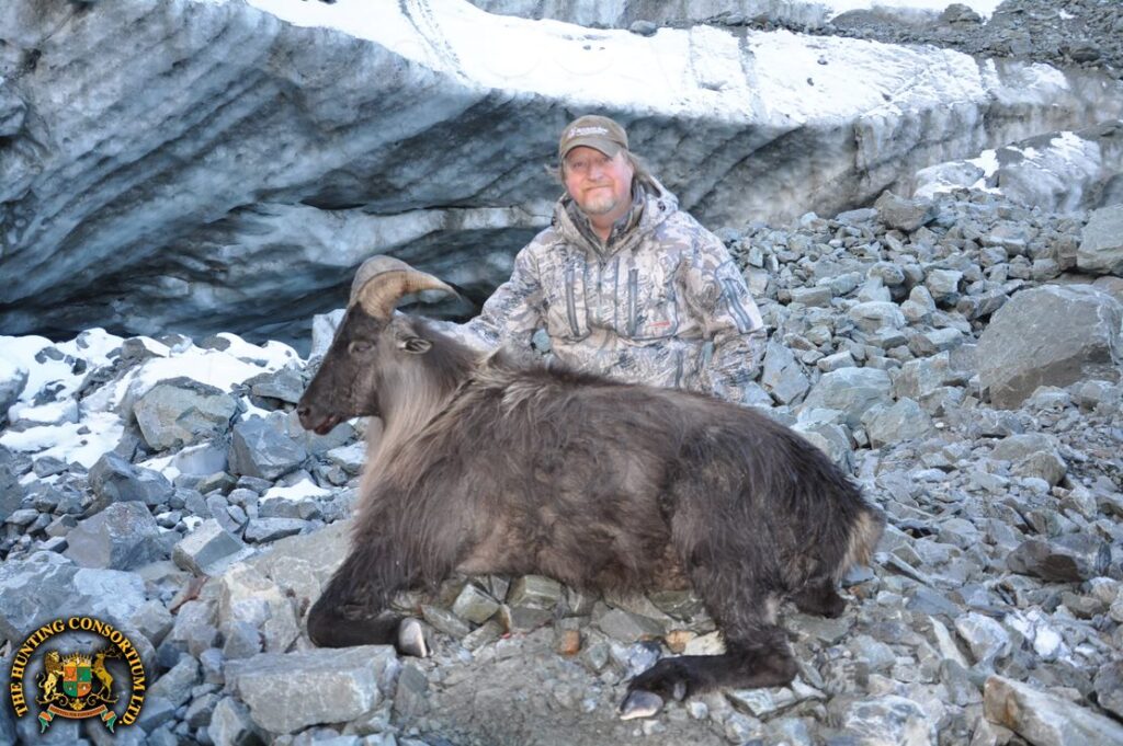 Photo of New Zealand Tahr and hunter.