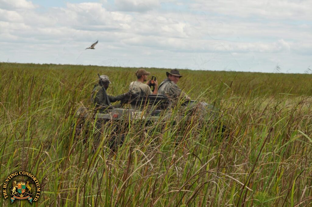 Hunting Cape Buffalo in Mozambique in Zambeze Delta 1