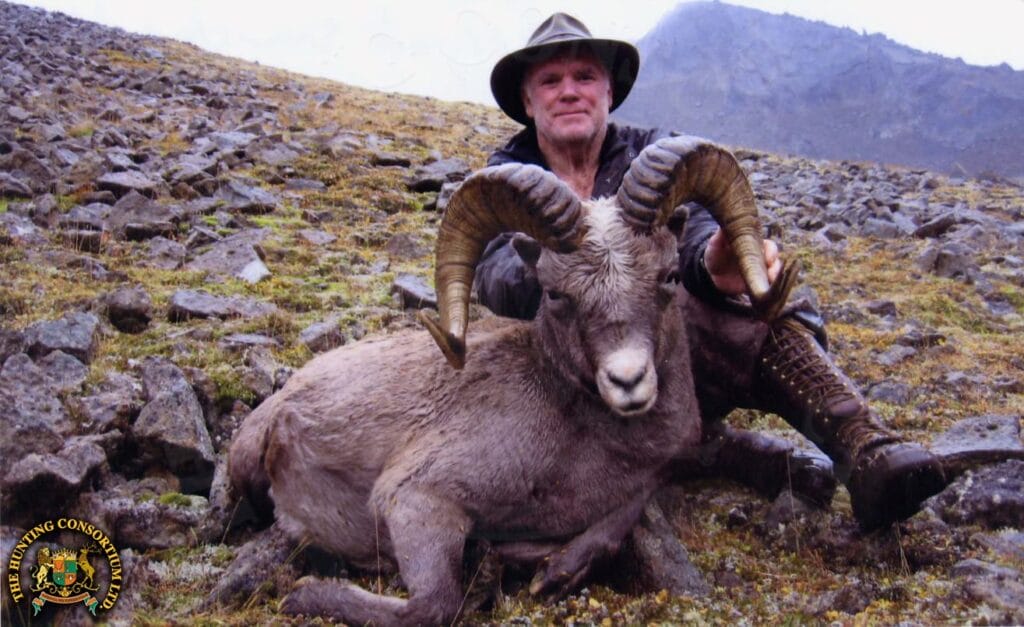Hunting Snow Sheep in Russia. Koryak Snow Sheep Hunting in Russia. Koryak Snow Sheep hunts in Russia