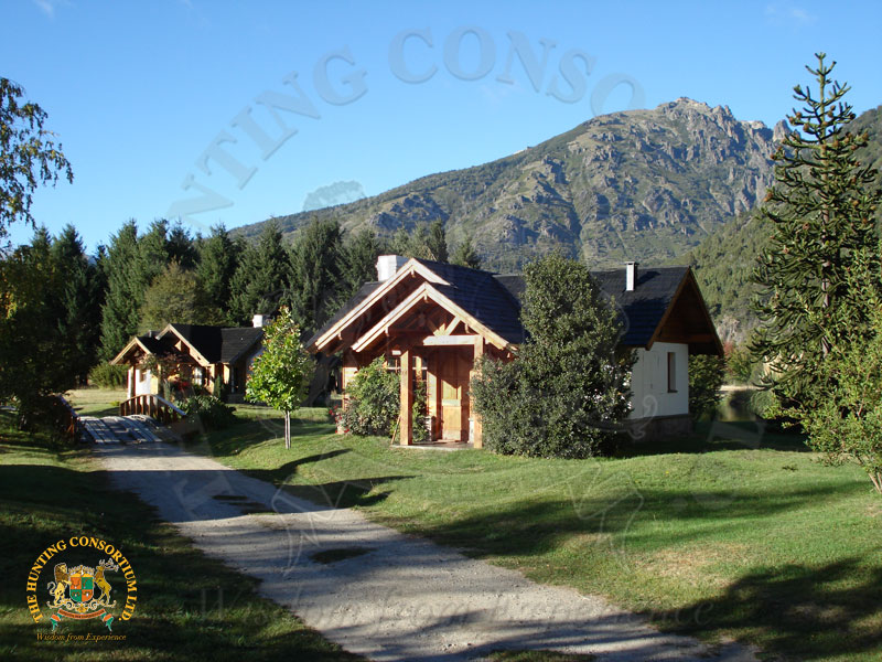 Hunting in Argentina. Estancias in Argentina.