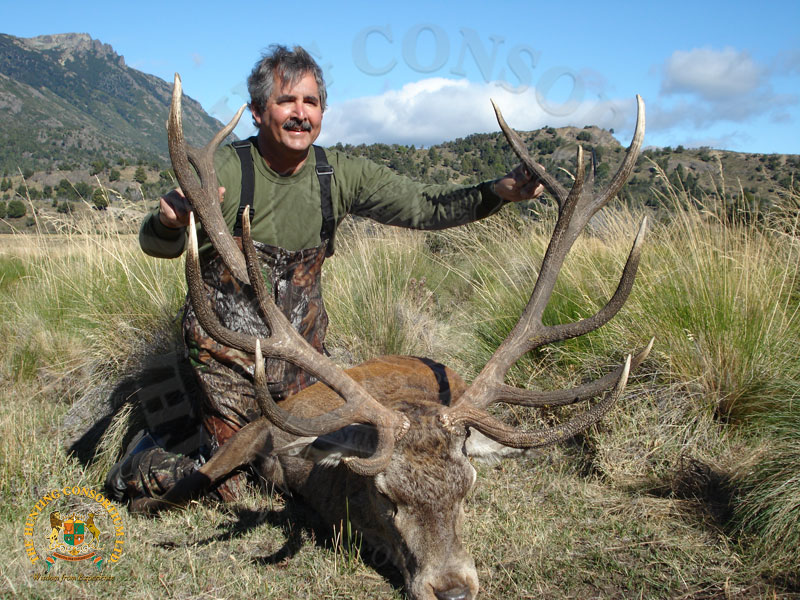 Hunting in Argentina. Hunting Red Stag in Argentina