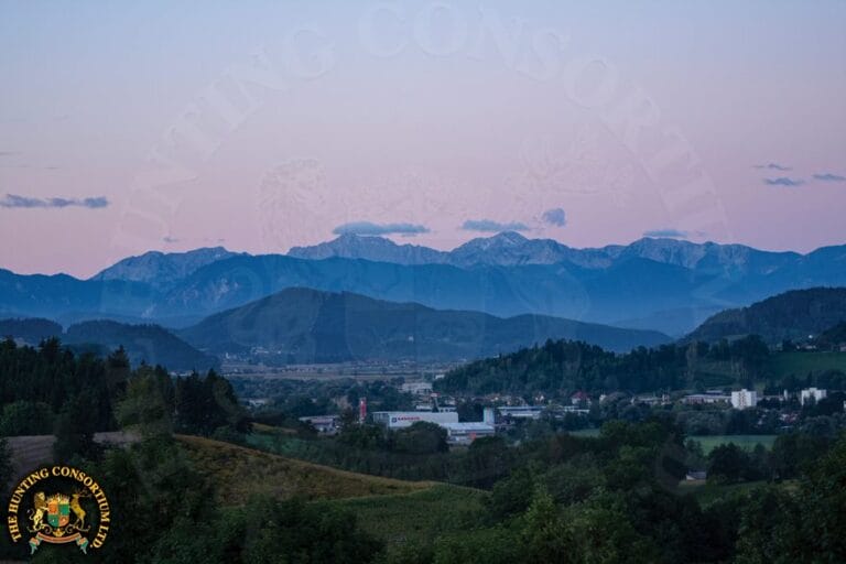 Photo of epic scenery of Hunting in Europe. Hunt Europe in from the woods to the mountains with Hunting Consortium.