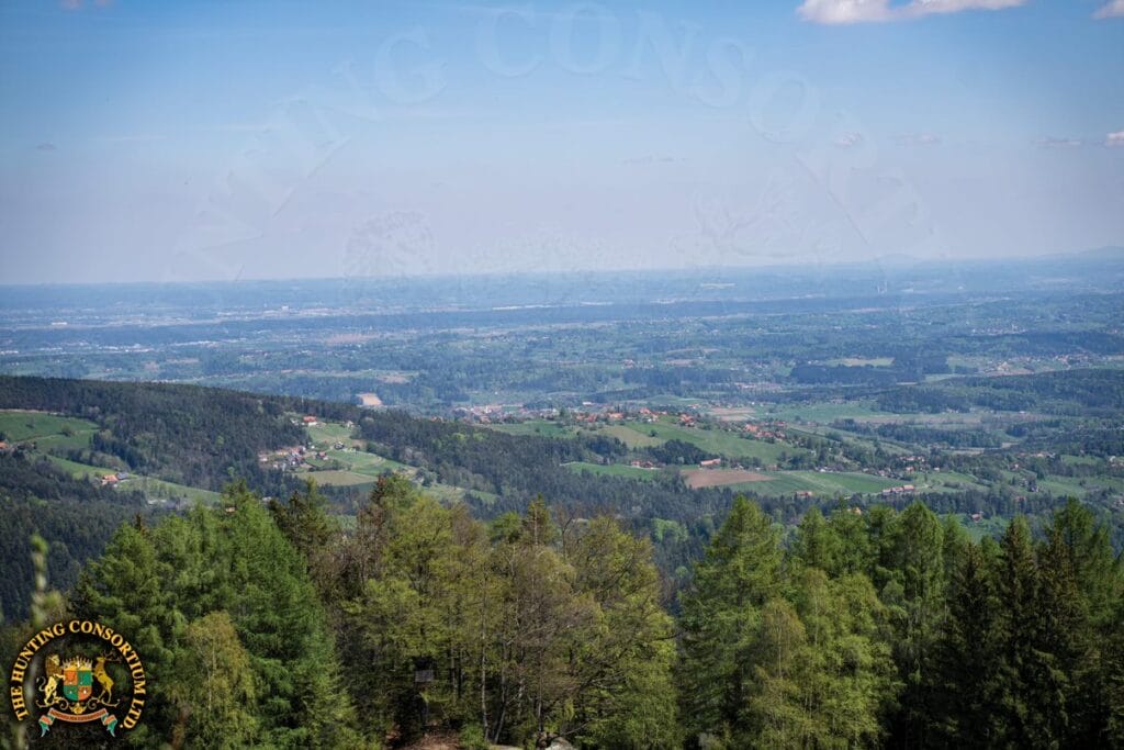 Hunting in Europe. Hunt Europe in the Mountains