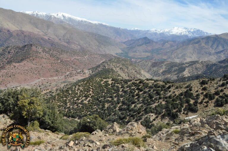 Hunting in Morocco