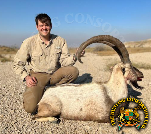 Sindh Ibex in Pakistan Hunting Sindh Ibex in Pakistan Hunts in Pakistan Hunts