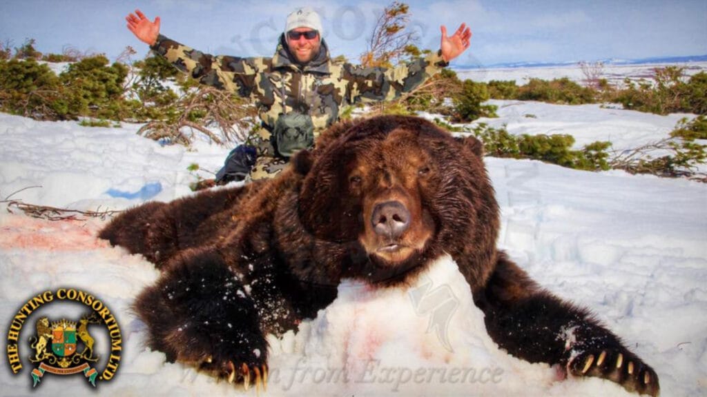 Kamchatka Brown Bear Hunting; Kamchatka Brown Bear Hunts; russian brown bear hunts; and Russian brown bear hunting