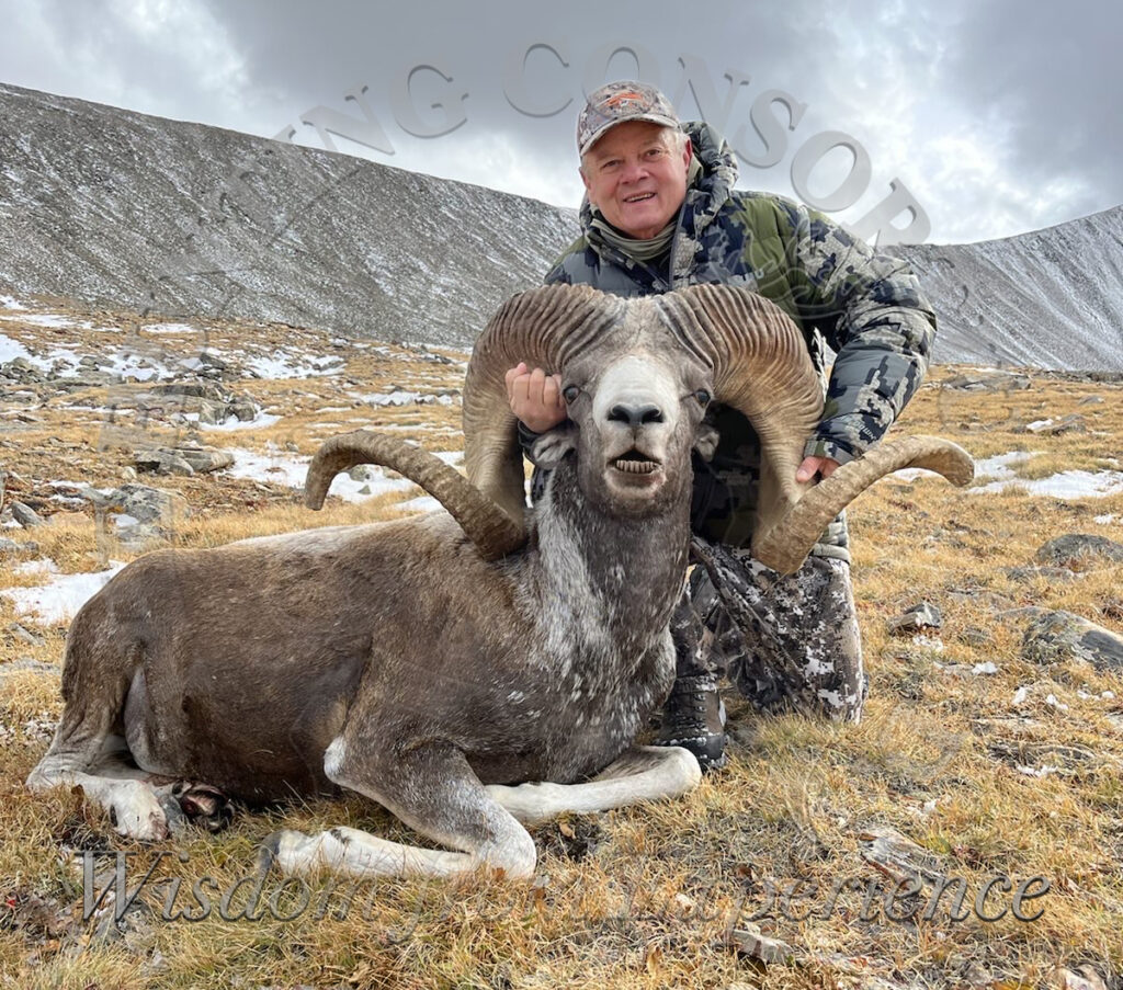 The biggest Altai Argali trophy taken in recent years. This Altai Argali trophy was the largest taken that season in all of Mongolia. Hunting in Mongolia.
