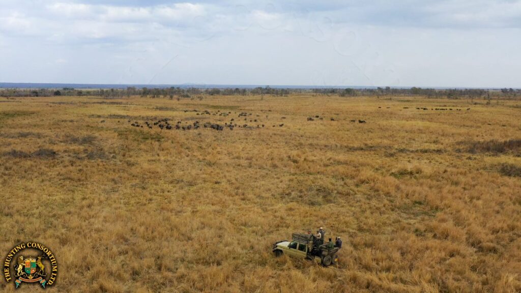 Hunting in Africa Hunting with Hunting Consortium.