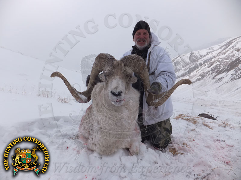 Hunting Marco Polo sheep in Kyrgyzstan Hunting in Kyrgyzstan Marco Polo Sheep Hunt Marco Polo sheep in Kyrgyzstan