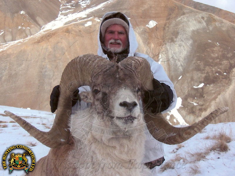 Hunting Marco Polo sheep in Kyrgyzstan Hunting in Kyrgyzstan Marco Polo Sheep Hunt Marco Polo sheep in Kyrgyzstan. Rex Baker with his Marco Polo Sheep from Kyrgyzstan with Hunting Consortium