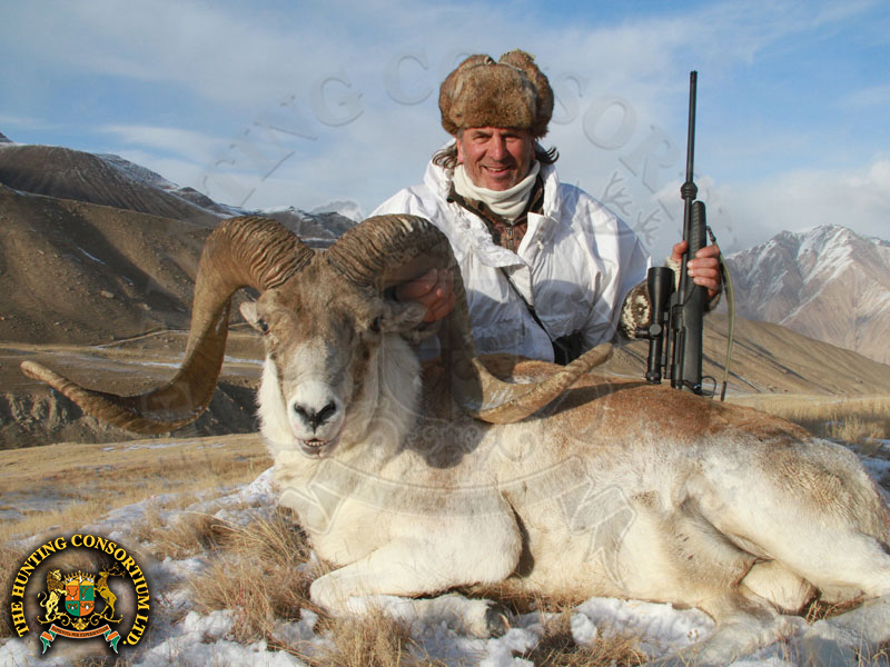 Hunting Tian Shan argali in Kyrgyzstan Hunting in Kyrgyzstan Tian Shan Argali Hunt Tian Shan argali in Kyrgyzstan