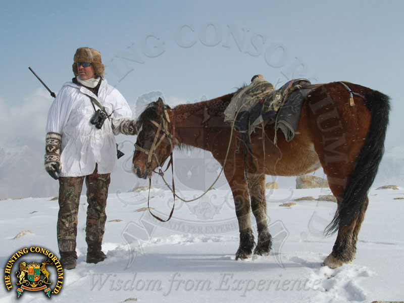 Hunting Marco Polo sheep in Kyrgyzstan Hunting in Kyrgyzstan Marco Polo Sheep Hunt Marco Polo sheep in Kyrgyzstan
