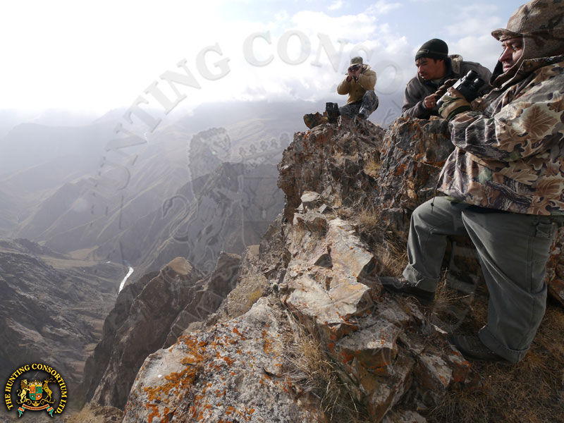 Hunting Marco Polo sheep in Kyrgyzstan Hunting in Kyrgyzstan Marco Polo Sheep Hunt Marco Polo sheep in Kyrgyzstan