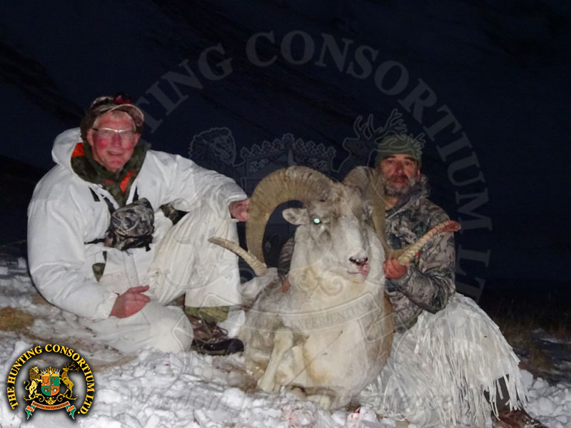 Hunting Marco Polo sheep in Kyrgyzstan Hunting in Kyrgyzstan Marco Polo Sheep Hunt Marco Polo sheep in Kyrgyzstan