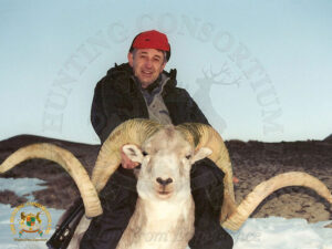 Marco Polo Argali
