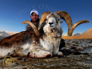 A hunter on the plains with a sheep he harvested while Marco Polo Argali Hunting