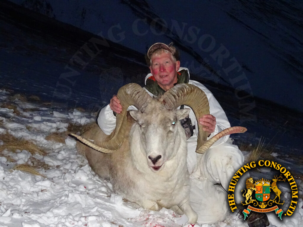 Marco Polo Sheep Hunting in Kyrygzstan Marco Polo Sheep Hunts Kyrgyzstan Hunts Hume Argali Hunts Hume Argali Hunting