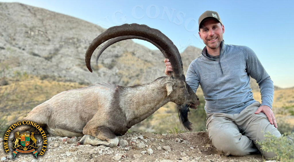 Sindh Ibex in Pakistan Hunting Sindh Ibex in Pakistan Hunts in Pakistan Hunts