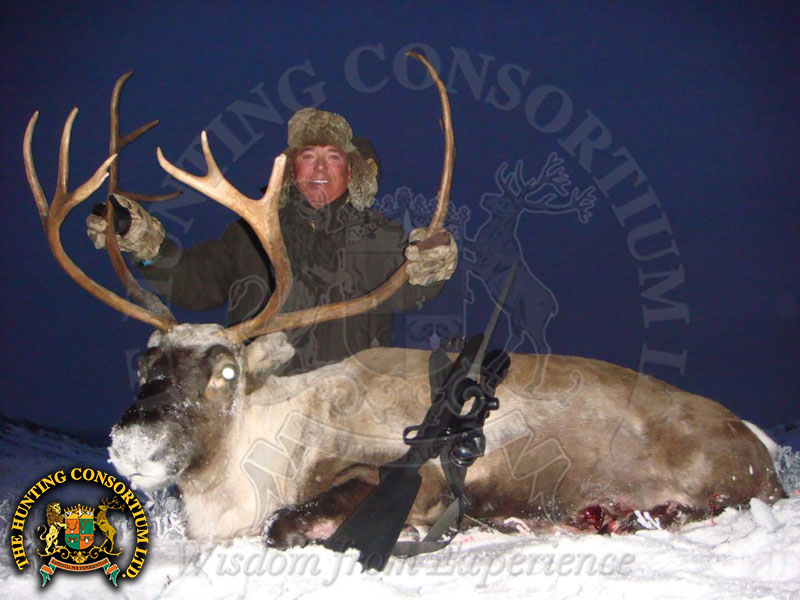 Hunting in Reindeer in Norway Hunting in Norway for Reindeer Hunts in Norway