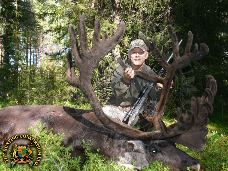 Hunting in Reindeer in Norway Hunting in Norway for Reindeer Hunts in Norway
