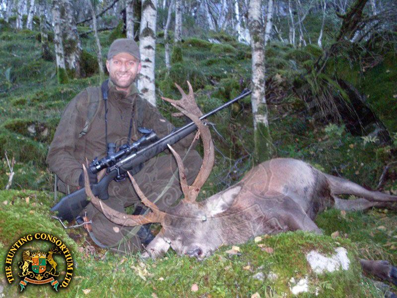 Hunting in Reindeer in Norway Hunting in Norway for Reindeer Hunts in Norway