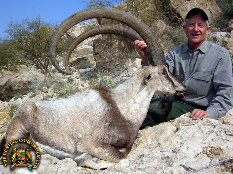 Sindh Ibex in Pakistan Hunting Sindh Ibex in Pakistan Hunts in Pakistan Hunts