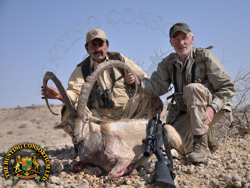 Sindh Ibex in Pakistan Hunting Sindh Ibex in Pakistan Hunts in Pakistan Hunts