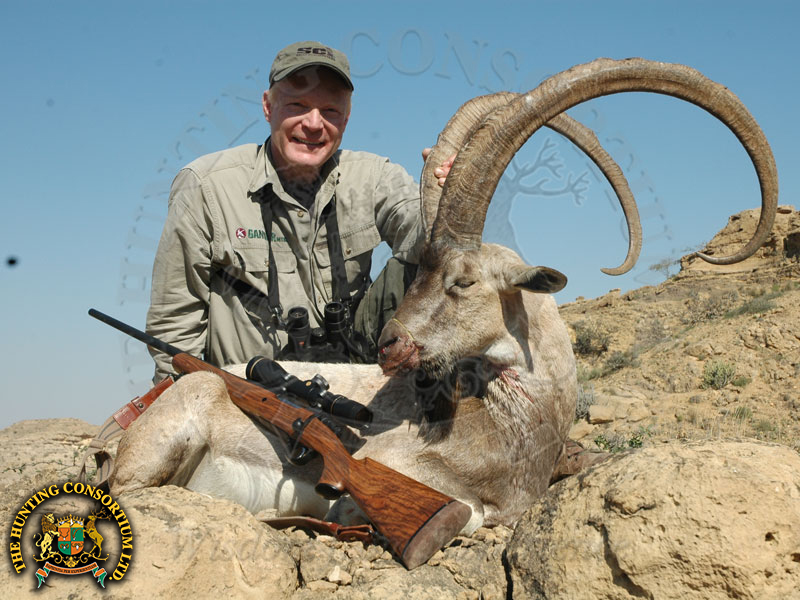 Sindh Ibex Hunting in Pakistan Hunts Craig Boddington Hunting in Ibex in Pakistan Boddington Hunting Sindh Ibex in Pakistan