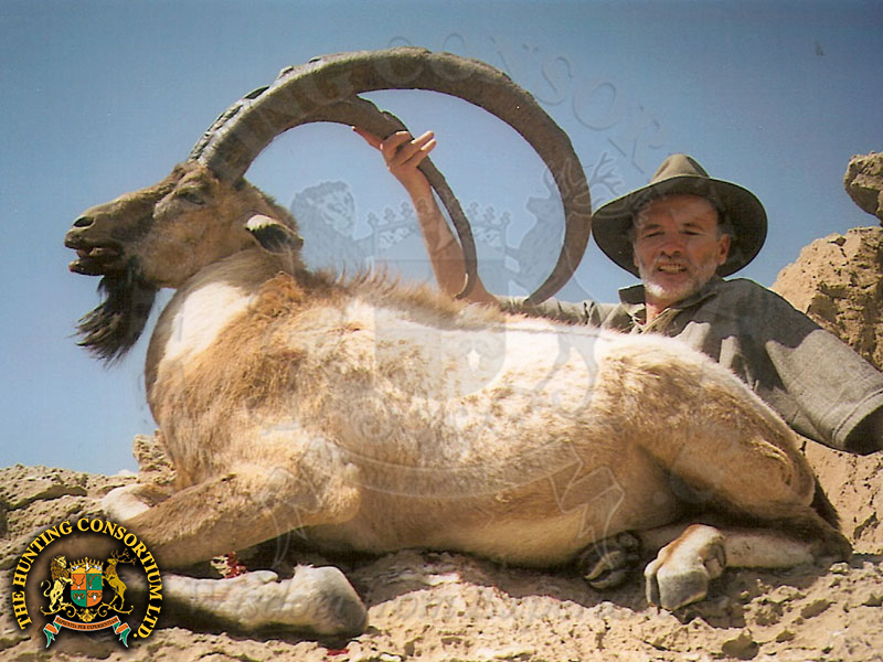 Sindh Ibex in Pakistan Hunting Sindh Ibex in Pakistan Hunts in Pakistan Hunts