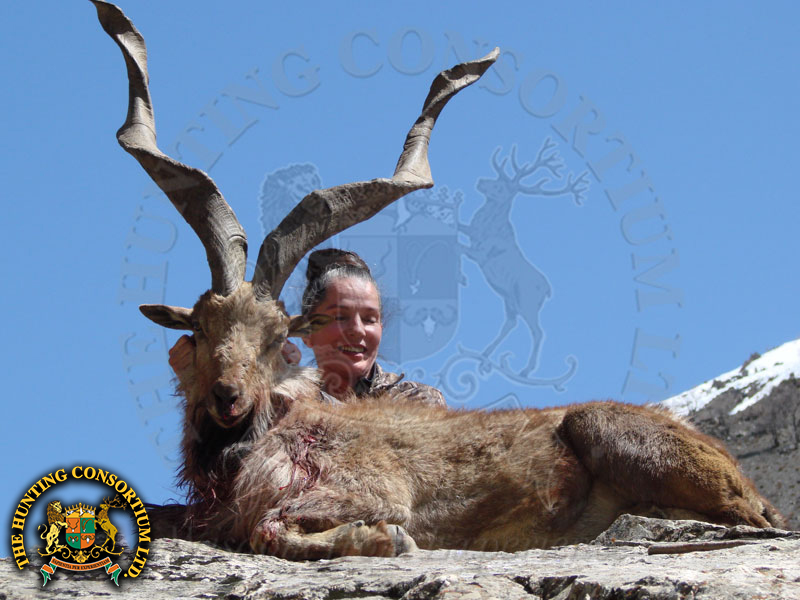 Renee Snider Kashmir Markhor Hunting in Pakistan Markhor Hunts Kashmir Markhor Hunts in Pakistan
