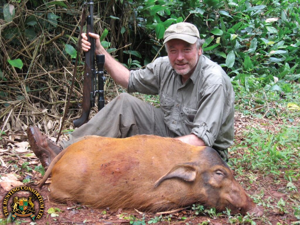 Red River Hog Hunting in Cameroon