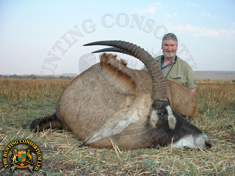 Photo of Roan Hunting in Zambia. Roan Hunts in Zambia.